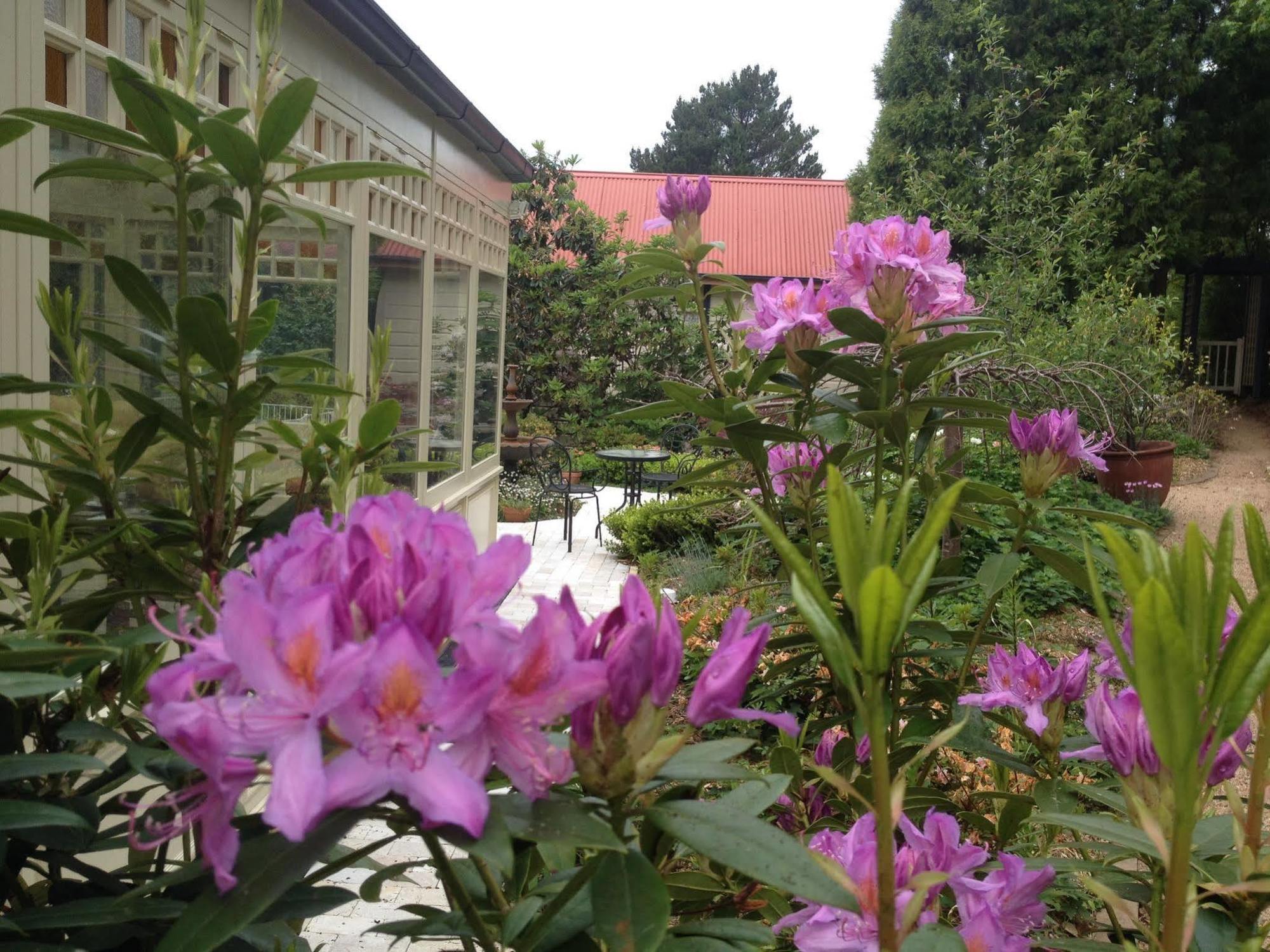 Blue Mountains贝特尼庄园住宿加早餐旅馆 外观 照片