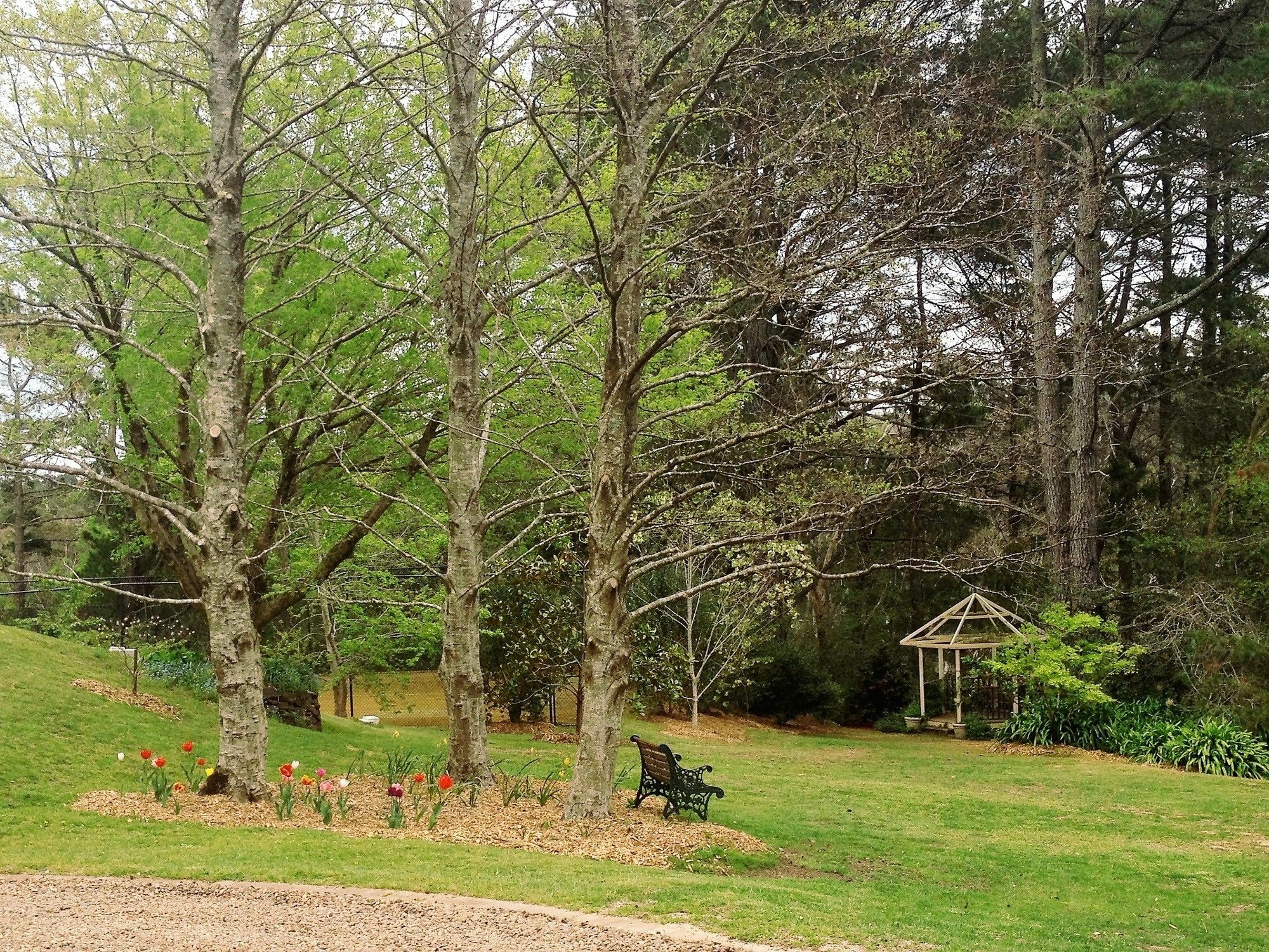 Blue Mountains贝特尼庄园住宿加早餐旅馆 外观 照片